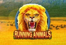 Tema & Grafik Slot Running Animals